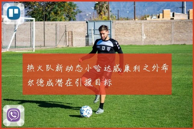 热火队新动态小哈达威康利之外希尔德成潜在引援目标